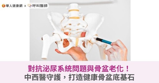 對抗泌尿系統問題與骨盆老化！中西醫守護，打造健康骨盆底基石