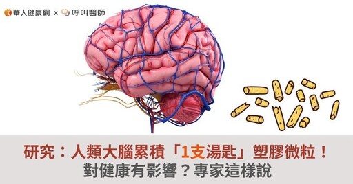 研究：人類大腦累積「1支湯匙」塑膠微粒！對健康有影響？專家這樣說