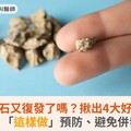 泌尿道結石又復發了嗎？揪出4大好發風險！醫：「這樣做」預防、避免併發症