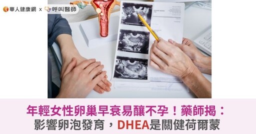 年輕女性卵巢早衰易釀不孕！藥師揭：影響卵泡發育，DHEA是關健荷爾蒙