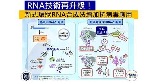 RNA技術再升級！新式環狀RNA合成法增加抗病毒療法應用範圍