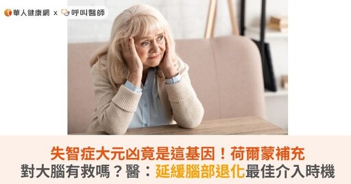 失智症大元凶竟是這基因！荷爾蒙補充對大腦有救嗎？醫：延緩腦部退化最佳介入時機