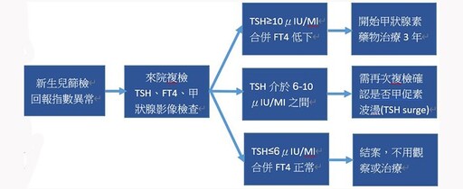 新生兒篩檢揪出先天性甲狀腺低下！成因、症狀、診斷與治療一次看