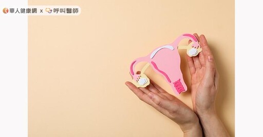拼生育，凍卵補助再加碼！周宗翰中醫師：5要訣「養卵」，增強卵巢功能