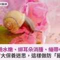 蝸牛敷臉水嫩、綁耳朵消腫、繃帶小V臉？醫師破解7大保養迷思，這樣做防「饅化臉」