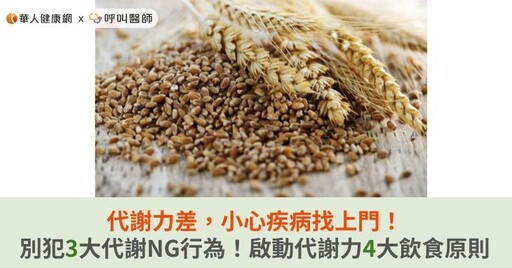 代謝力差，小心疾病找上門！別犯3大代謝NG行為！啟動代謝力4大飲食原則