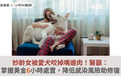 妙齡女被愛犬咬掉嘴邊肉！醫籲：掌握黃金6小時處置，降低感染風險助修復