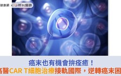 癌末也有機會拚痊癒！高醫CAR T細胞治療接軌國際，逆轉癌末困境