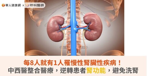 每8人就有1人罹慢性腎臟性疾病！中西醫整合醫療，逆轉患者腎功能，避免洗腎