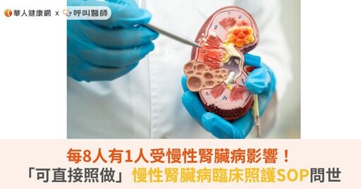 每8人有1人受慢性腎臟病影響！「可直接照做」慢性腎臟病臨床照護SOP問世