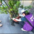 暑假出國夯！桃園衛生局提醒加強防蚊措施 預防登革熱