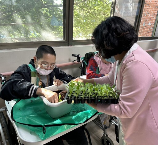 北榮桃分院「松柏園」舉辦園藝療癒促進健康 長輩動手種菜找回活力