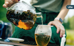 喝什麼茶最能降血壓？紅茶、綠茶⋯都不是！醫推薦「這款茶」還能抗癌