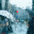 梅雨季大雨下不停？家事達人教你「超省錢除濕法」1物品回收再利用