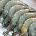 蝦子買回家，別傻傻直接放冰箱！海大教授教「保存1步驟」能放更久