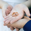 離婚率大幅降低44%！中國設置「離婚冷靜期」：30天內還可以反悔
