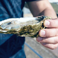 增精食物有哪些？男性必知「4類食物」養精蟲：芭樂、奇異果就有效