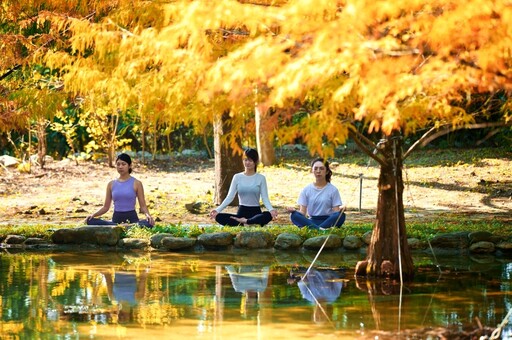 養生旅遊正夯！「台灣國際瑜伽療癒節」4 月花蓮登場 集結美食、音樂與冥想體驗