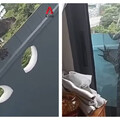 150cm巨蜥入侵11樓住家「懶洋洋趴陽台曬太陽」 驚悚畫面曝光