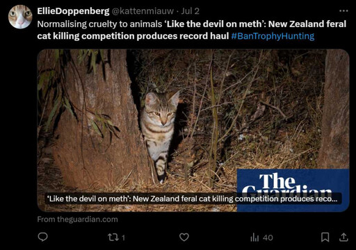 紐西蘭野貓太多！親子狩獵「狂殺400隻野貓」賺獎金 動保團體抵制無效