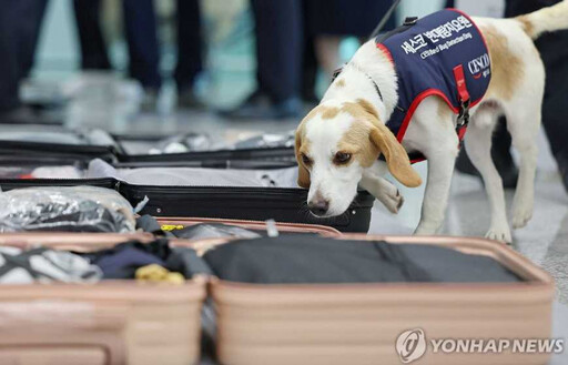 南韓陷臭蟲危機！嚴防蟲蟲偷渡 仁川機場進駐特殊檢疫犬