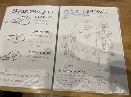 日小2女童玩黏土製作「企鵝骨骼標本」…還撰10頁報告書 百萬人朝聖：天才