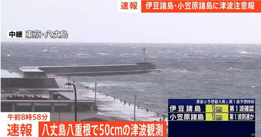 日本外海規模5.9地震「已發布海嘯警報」 第一波抵達八丈島