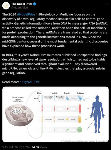 2024諾貝爾醫學獎揭曉！ 2美國學者發現microRNA作用共享殊榮