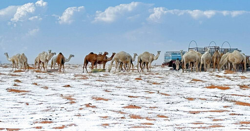 漫漫黃沙成銀妝素裹 沙烏地阿拉伯出現超罕見「漫天飛雪」景象