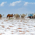 漫漫黃沙成銀妝素裹 沙烏地阿拉伯出現超罕見「漫天飛雪」景象