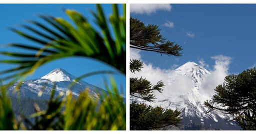 南半球富士山！塔拉納基山「精靈森林」迷幻誘人 玩伴女郎曬登山辣照挨轟