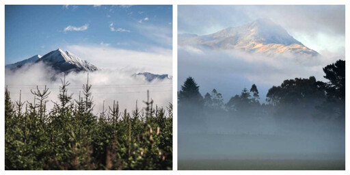 南半球富士山！塔拉納基山「精靈森林」迷幻誘人 玩伴女郎曬登山辣照挨轟