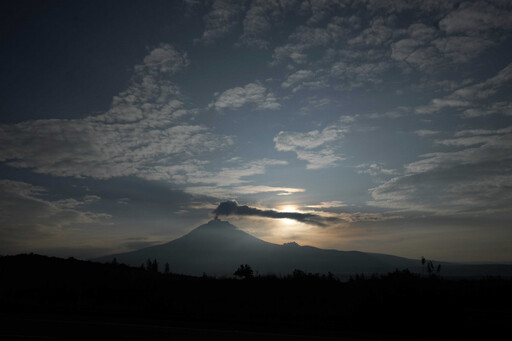 南半球富士山！塔拉納基山「精靈森林」迷幻誘人 玩伴女郎曬登山辣照挨轟