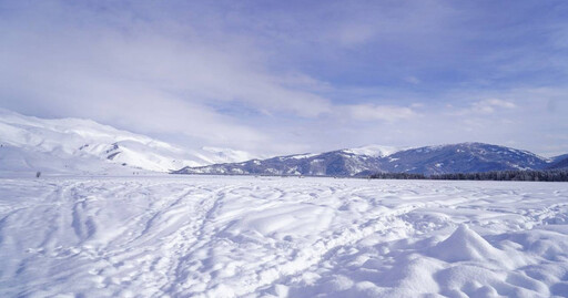 運動男荒野露營失蹤 零下20度雪地求生50天…奇蹟獲救