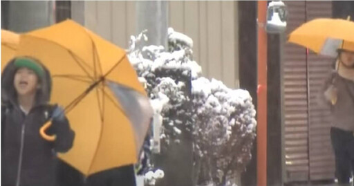 比去年提早25天 東京市中心今迎初雪