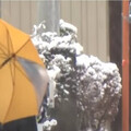 比去年提早25天 東京市中心今迎初雪