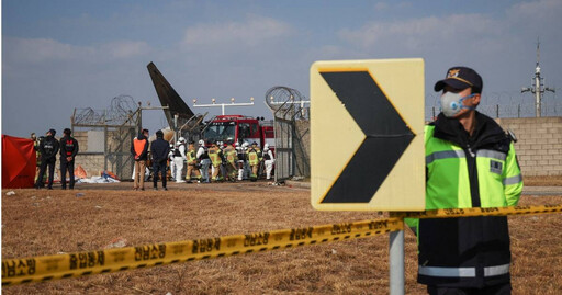 客機墜毀「179人恐全罹難」 南韓近6年內已發生623起「鳥擊」航空事故