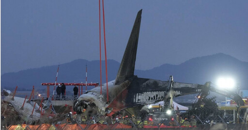 一隻鳥對飛機衝擊力達4.8噸 南韓14個機場務安「鳥擊率」最高