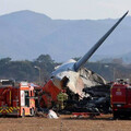 濟州航空疑遭鳥擊失事 專家揭「百克麻雀」撞機威力：像砲彈打到