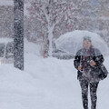 日本青森大雪破紀錄！積雪量達往年3倍 2男子除雪不慎摔死