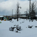 日本「警報級大雪」侵襲！青森縣已出現6死 腳踏車、鏟雪車都陷在雪裡