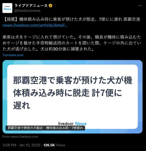 狗狗逛大街！飼主「狂奔上跑道」抓狗 那霸機場封閉跑道7航班延誤