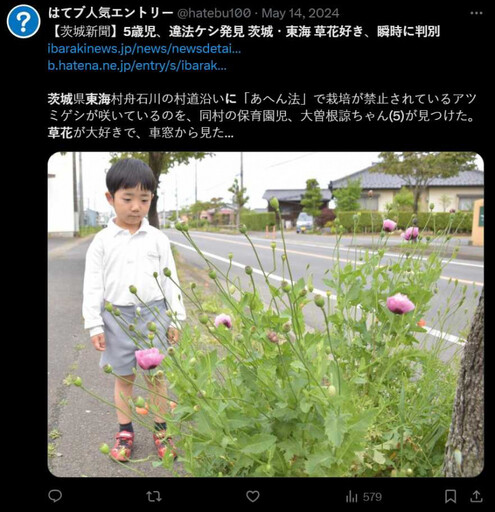 5歲神童秒認出「神秘花」！他回家路上發現禁種罌粟 父通報驚呆：開了83株