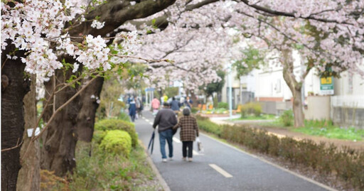 鄰居聞到惡臭味報案 警破門驚見銀髮夫妻變腐屍