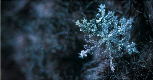 室外下大雪僅0度！24歲女穿內衣褲站門前 警驚見「積雪藏嬰屍」