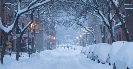 極地寒流襲美！美國東岸大雪 女子在後院遛狗被凍斃