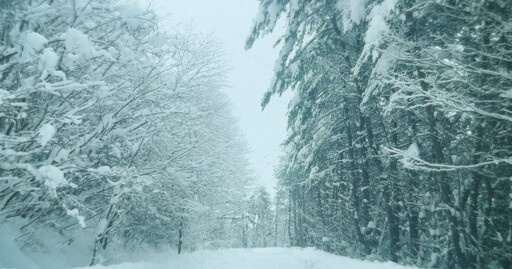 超級大雪襲擊日本 福島驚傳雪崩釀2溫泉旅館160人受困