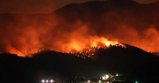 日本東北森林山火爆發「創30年紀錄」 7日焚毀2600公頃土地「尚無撲滅跡象」