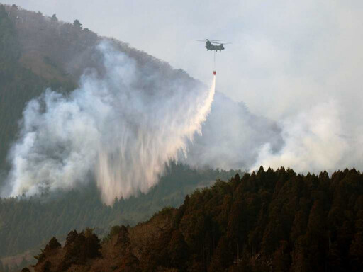 日本東北森林山火爆發「創30年紀錄」 7日焚毀2600公頃土地「尚無撲滅跡象」