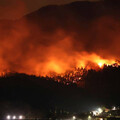 日本東北森林山火爆發「創30年紀錄」 7日焚毀2600公頃土地「尚無撲滅跡象」